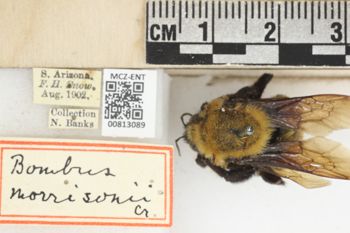 Media type: image;   Entomology 813089 Aspect: labels